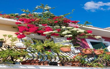 最美陽臺改造案例，4㎡的＂秘密花園＂！