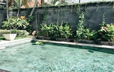 在自家后院挖個游泳池，連鄰居看到都羨慕不已