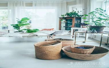 這些植物對抗霧霾比凈化器還有用