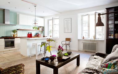 瑞典 63平方米混搭風一居