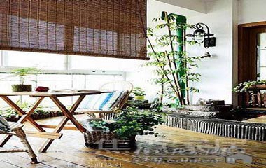 文藝少婦愛陽光