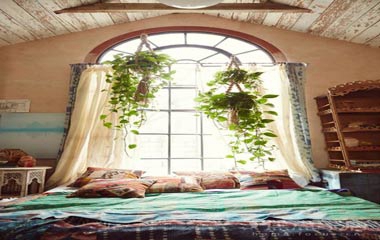 這樣裝，我能在臥室里給你變出一個(gè)森林來