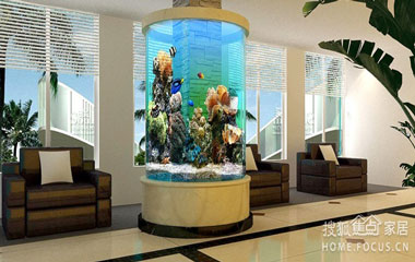 辦公室魚缸風(fēng)水禁忌