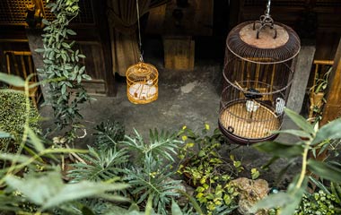 典雅的東方式風(fēng)格演繹著大自然之美妙