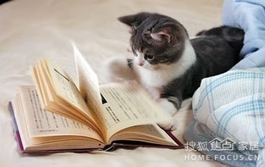 暢游在書的海洋里 書房裝修大秘籍