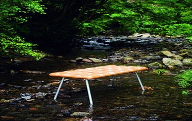 未來的木材材質將是一本打開的書