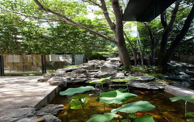 大隱于市 蕭氏設計辦公室蟬幽園