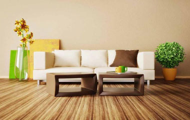 家居標準年 行業轉型或將再添動力