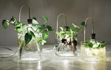 國(guó)內(nèi)家品市場(chǎng)待優(yōu)化