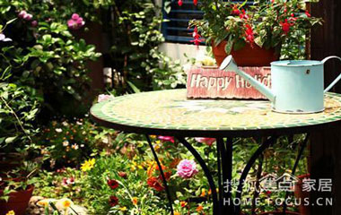 這些植物對(duì)抗霧霾比凈化器還有用,你家養(yǎng)了嗎