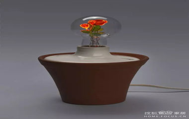 這樣的燈泡，點亮簡直美炸了~