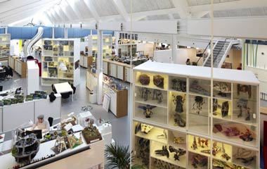 干貨大集合：6大巨頭企業(yè)總部辦公室設(shè)計（圖）