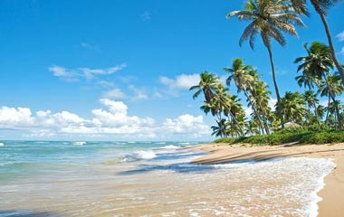 Campo Bahia豪華酒店 助力德國贏取世界杯冠軍