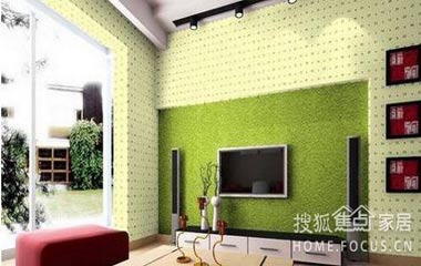 充滿魅惑背景墻 居室生活拒絕單調(diào)