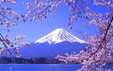 無國界的交融迸發